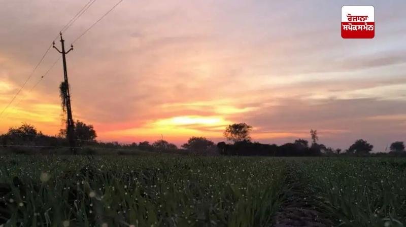 Punjab Weather Update News in punjabi 