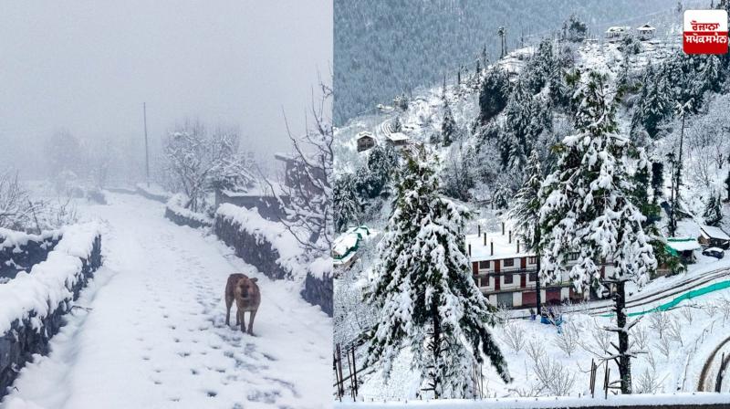 Heavy snowfall rages in Himachal Pradesh News in punjabi