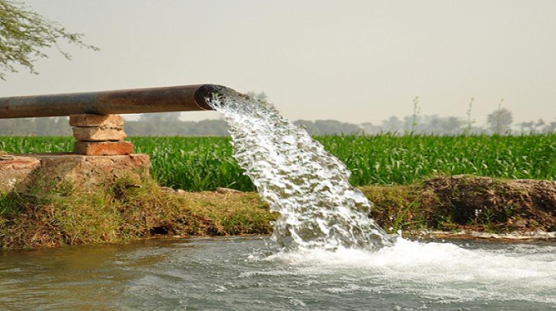 Direct sowing on 25 lakh acres will save 15% of water