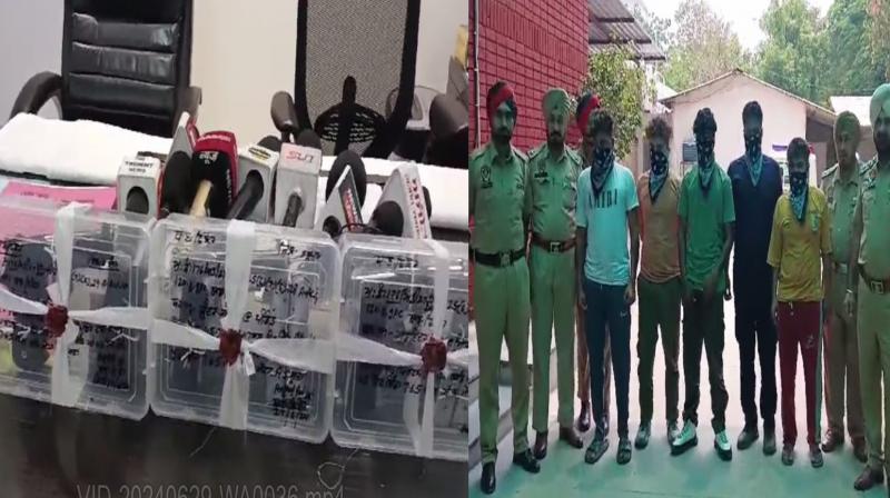 Jalandhar police arrested 5 gang members of Sonu Khatri gang with weapons