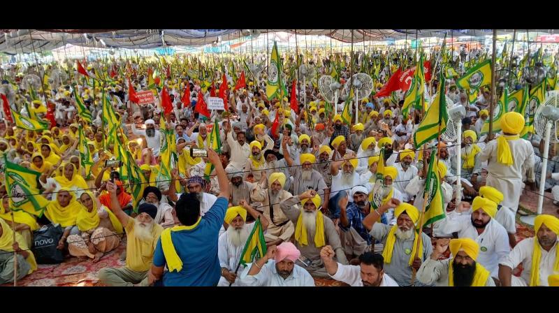 Farmers Protest at Chandigarh