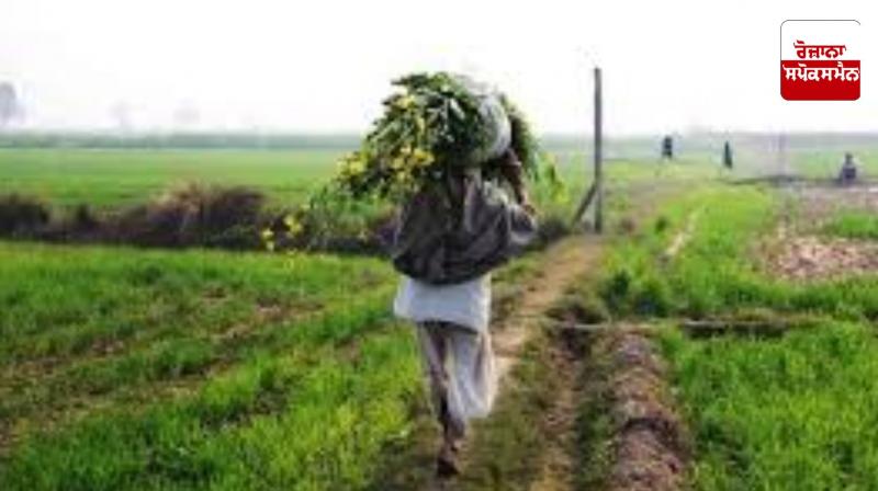 Maharashtra farmer gets Rs 6 relief for crop loss
