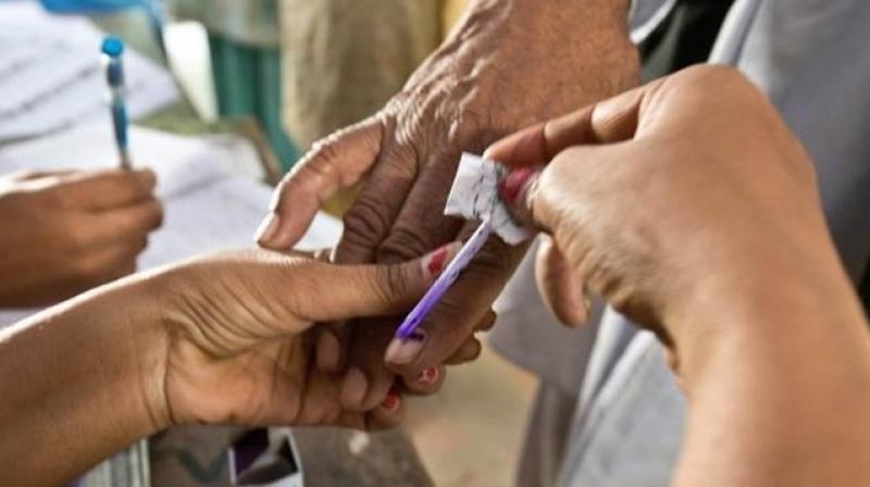 The Punjab government told the High Court when the panchayat elections will be held!