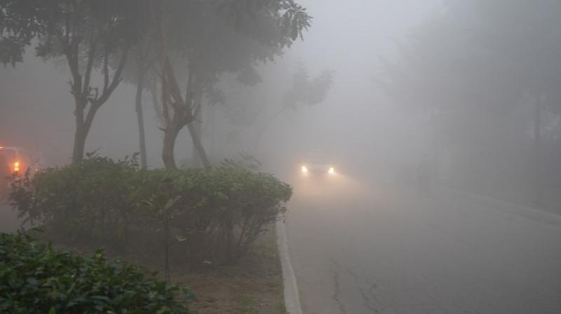 Cold wave continues in North India