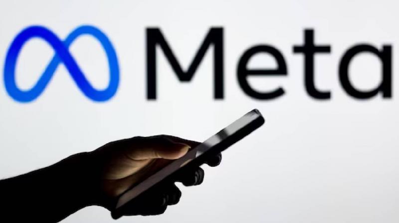 Meta removes fake accounts targetting Sikh community