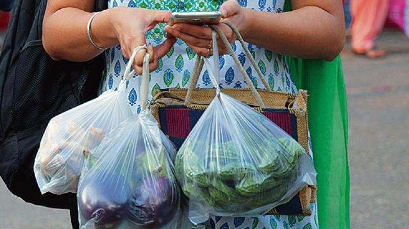 Single Use Plastic Ban