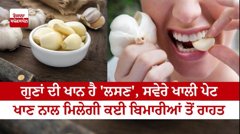 Garlic is Best For Health 