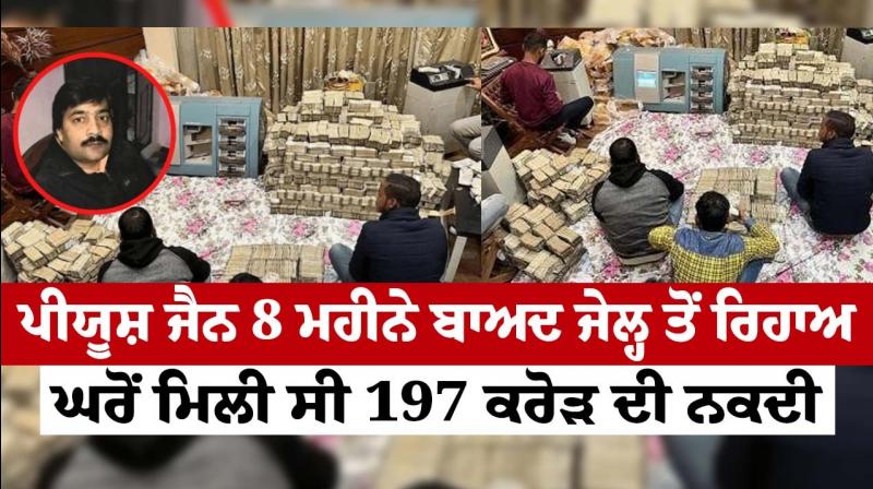 Piyush Jain released from jail after 8 months