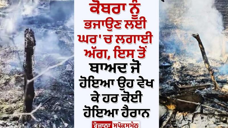 Uttar Pradesh cobra shocking news whole house burnt on fire