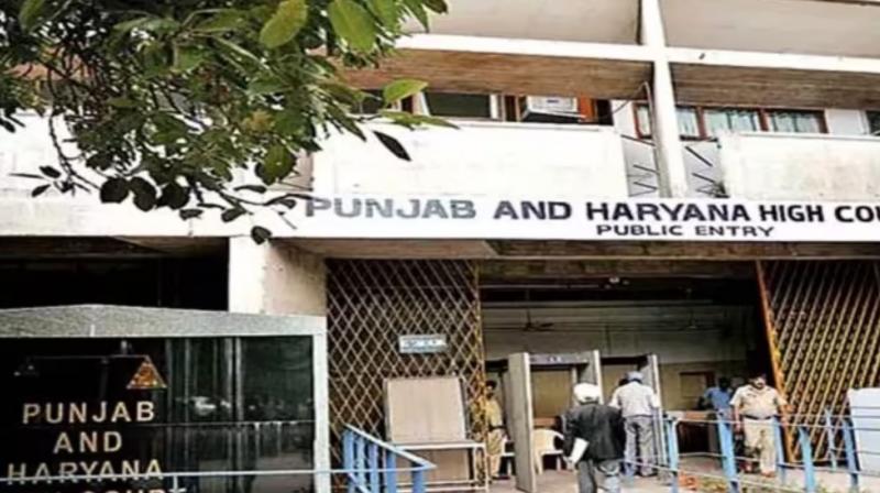 A commendable step by the Punjab government