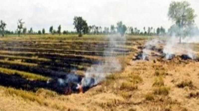  CRM machines will be given to farmers on subsidy