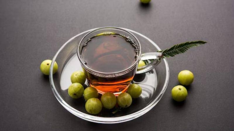 Drink Amla tea daily Heath News