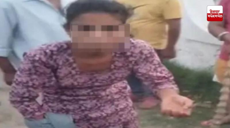 Jalandhar Pitbull Dog News in punjabi 