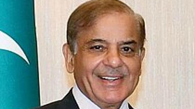 PM Shahbaz Sharif