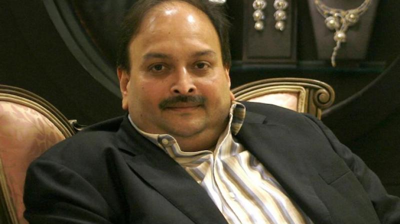 Mehul choksi