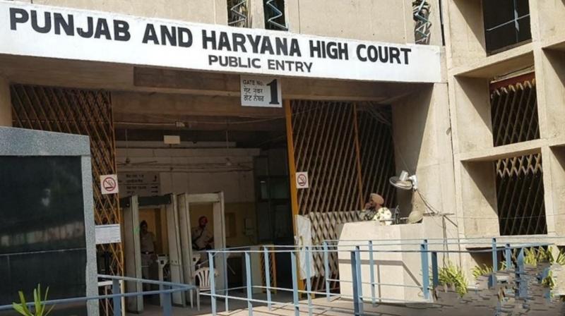 Punjab News: Punjab could not respond to saving the people of Malwa from cancer, High Court criticized