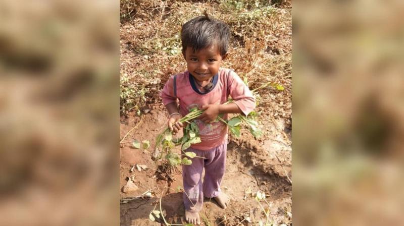 3-year-old boy falls into 200-feet deep borewell