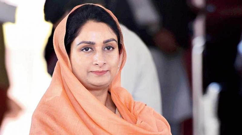 Harsimrat Kaur Badal tests positive for coronavirus