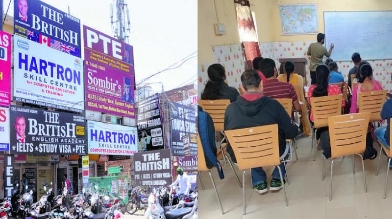 50% drop in students in IELTS centers of Majha, Malwa and Doaba