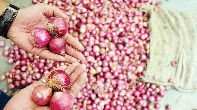 Onion Price Hike