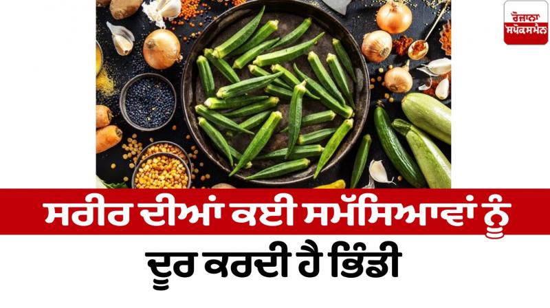 Okra removes many problems of the body Heath News