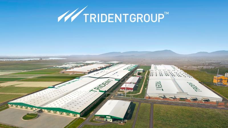 Trident Group 