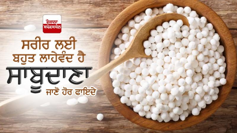 Health benefits of eating sabudana