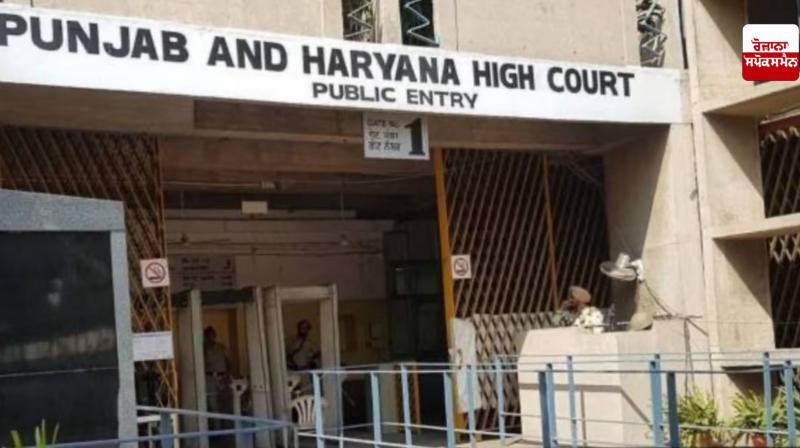 Punjab Haryana HighCourt News in punjabi