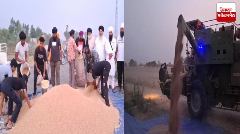 Wheat donated for the langars of Sri Hazur Sahib Nadala