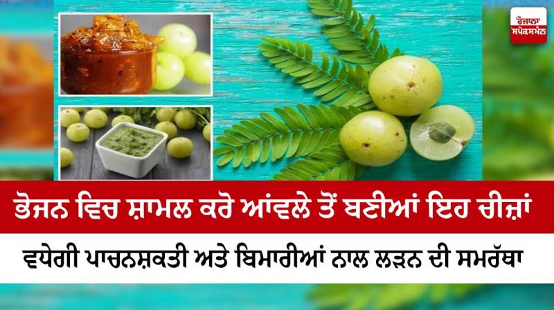 Amla is very beneficial, add these things made from Amla to food