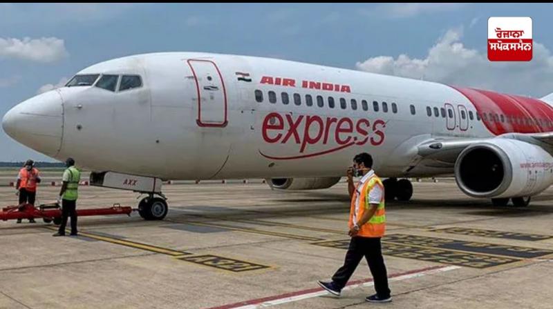 Flight cancelled after bird strike