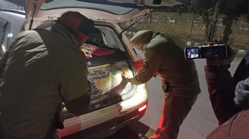 23.8 crore items seized from Punjab after implementation of Election Code