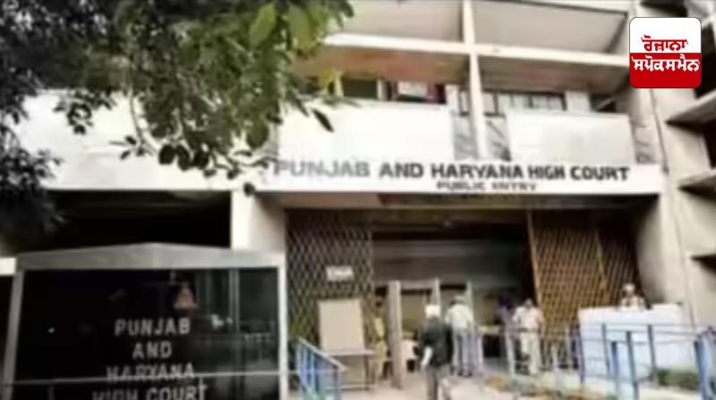 High Court rejects anticipatory bail plea of fraud accused