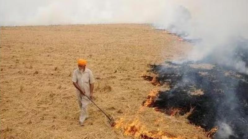Stubble Burning Punjab