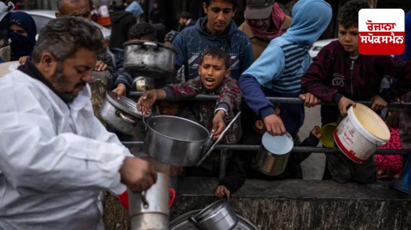 45 Palestinians killed while waiting for food supplies in Gaza: health official