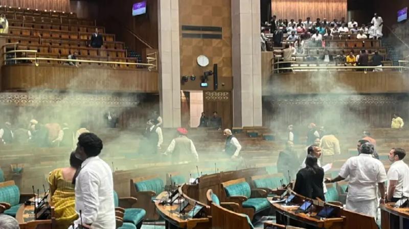 Karnataka Techie, An Ex Top Cop's Son, Detained In Parliament Breach Case