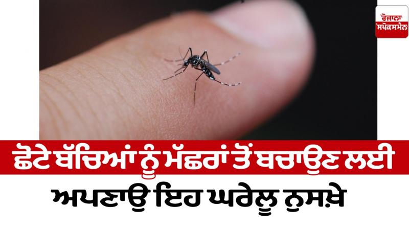  Protect young children from mosquitoes Health News