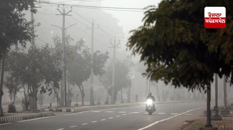 punjab chandigarh weather update latest news in punjabi