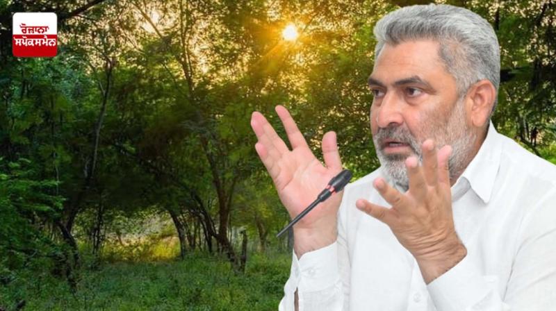 Punjab government will plant more than 80000 saplings to make Mattewara forest more green