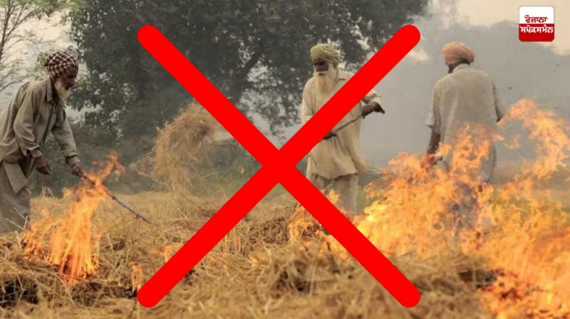 This time straw will not be burnt in Haryana News