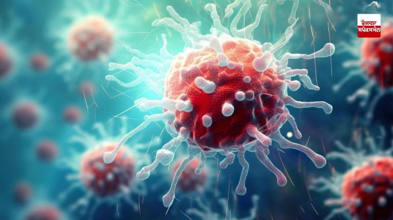 Cancer rampage in Haryana; Every month 3 thousand new patients, 1500 deaths