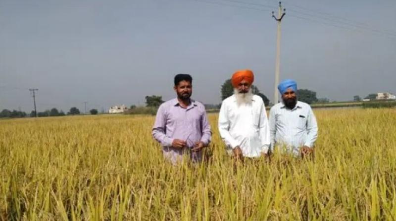 Apply pm kisan samman nidhi scheme new registration and aadhar correction