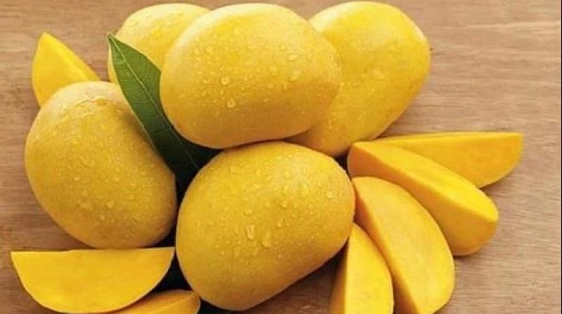 Indian man caught stealing 2 mangoes