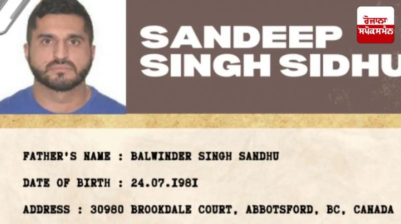 Sandeep Singh Sidhu Declared Fugitive News