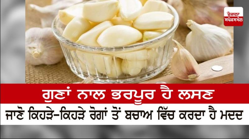 Health Benefits of Garlic