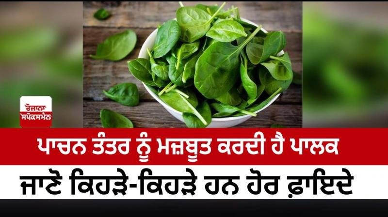 Palak strengthens the digestive system