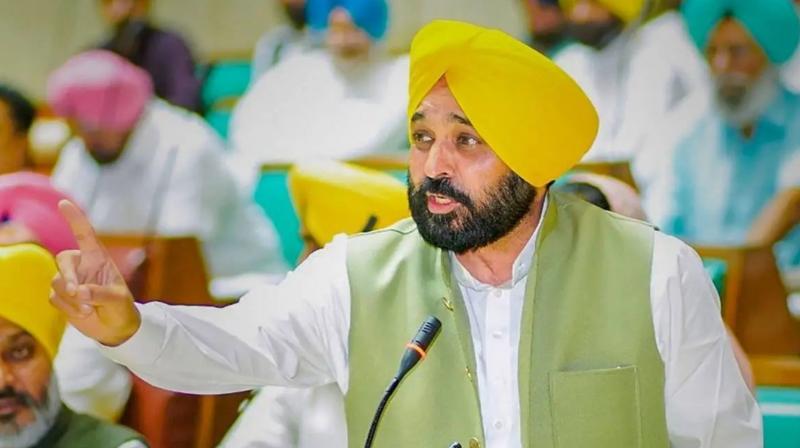 Chief Minister Bhagwant Mann's big announcement regarding agriculture policy