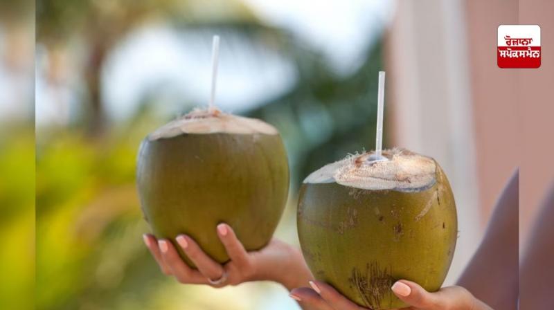 Coconut water is very beneficial for children
