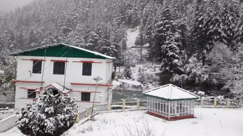 Fresh snowfall in shimla manali in photos