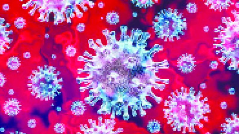 Corona Virus 